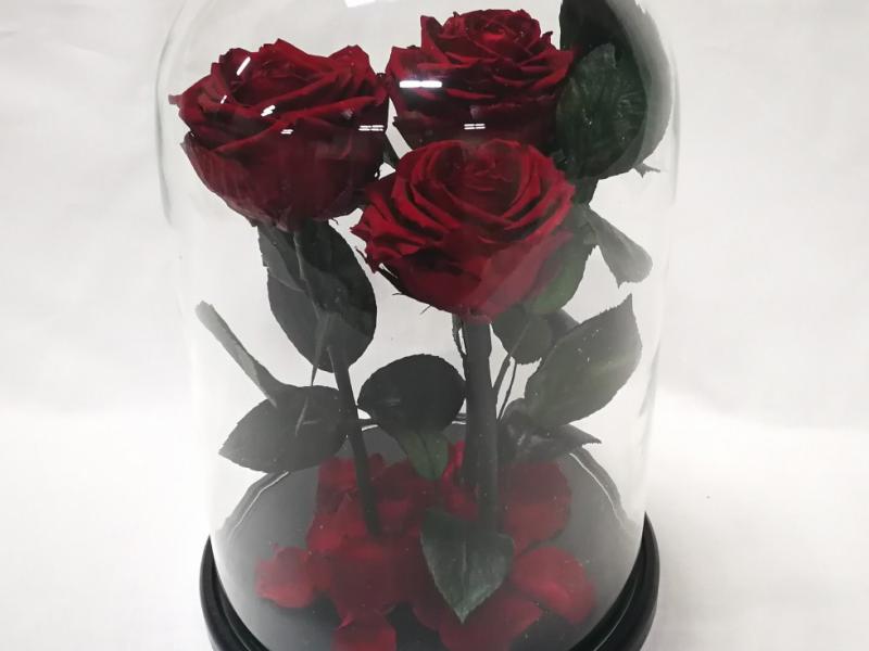 розу в стеклянной колбе